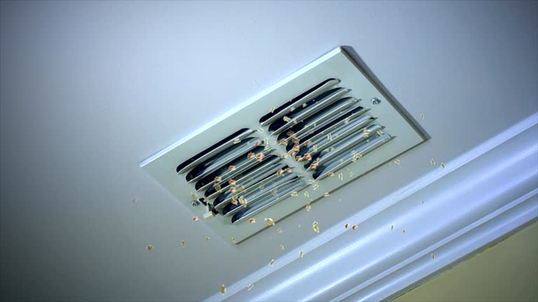 Best Affordable Duct Cleaning Services  in Church Hill, MD