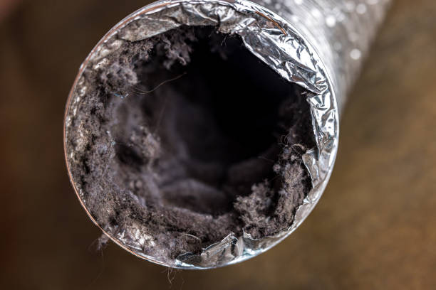 Best Air Duct Cleaning Company Near Me  in Church Hill, MD